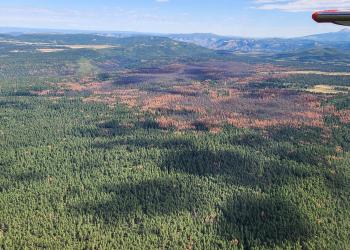 RHPB Aerial View