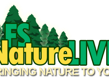 logo-FSNatureLIVE