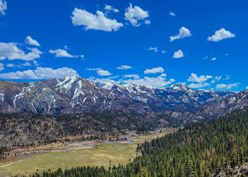 Forest valley with trees & mtn snow-Leavitt Meadows-HTNF-Hero-1200 x 645px