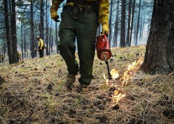 RX Fire Torch