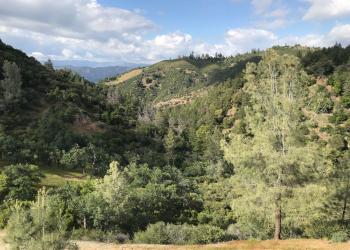 Ecotone in S. California. Oak woodlands - chaparral - conifers - grassland.  LPNF