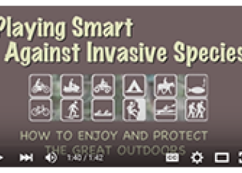 Play smart video preview