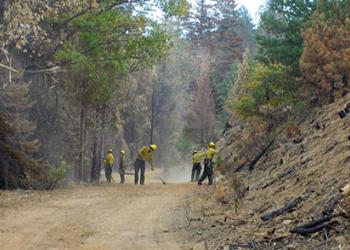 Rim Fire BAER