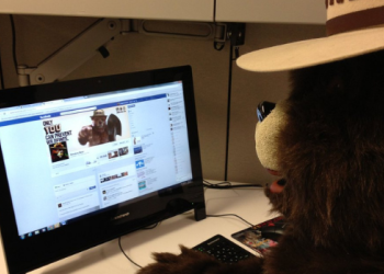 Smokey Bear at his computer