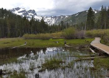Tahoe Sand Pond Card