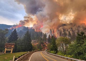 Wildfire: A Modern-Day Paradox