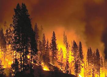Climate Fire