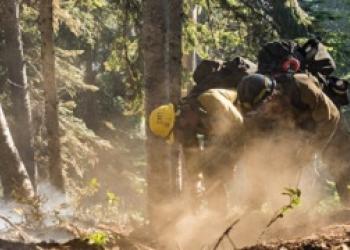 Workers on a fire line