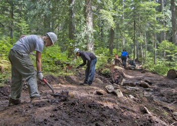 washington trails assoc volunteers