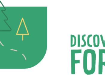 Discover the Forest Logo