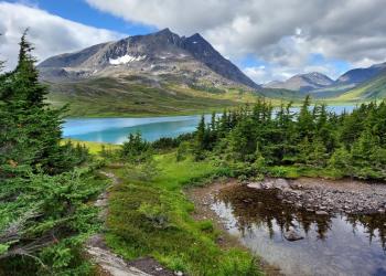 Chugach Card