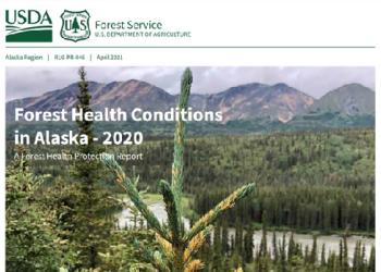 Cover of the Forest Health Conditions in Alaska 2020 report
