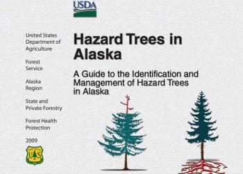Cover of the Hazard Trees in Alaska book
