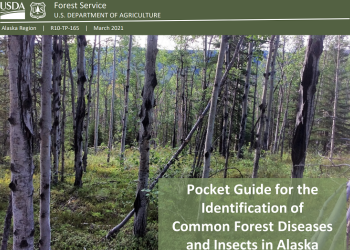 PocketGuide_2021_herocard