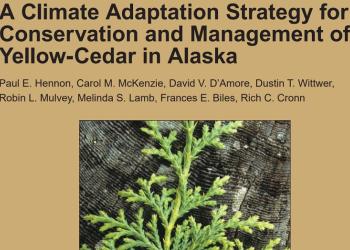 Cover of a climate adaption strategy for conservation and management of yellow-cedar in Alaska