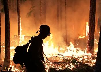 2022 National Wildfire Information