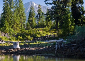 Fish Lake card image