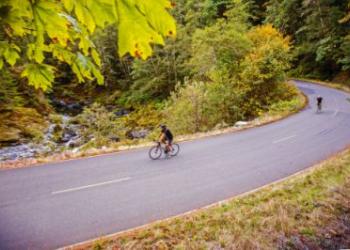 Wild Rivers Coast Scenic Bikeway