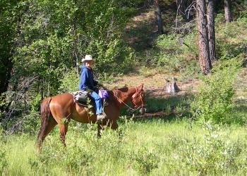 Horseback Riding