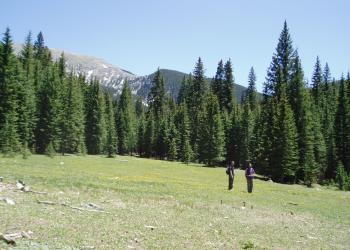 landscape view of a grassy area and two people in dark clothing with evergreen trees and a mountain range in the background against a light blue cloudless sky