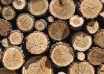 Firewood