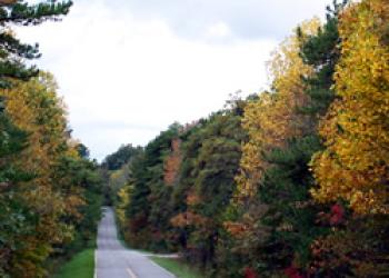 Scenic Drives