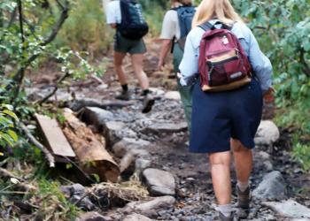 Hiking the Forest