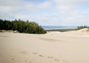 Sand dunes on the oregon coast