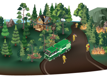 Fuels Treatment: Prescribed Fire