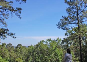 DCNF Neches Bluff Overlook