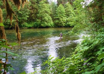 Fly Fishing