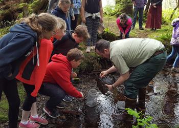 Several people do hands on activities in a shallow stream.