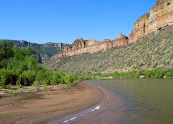 A shoreline area along the Salt River with canyons in the background. 