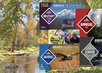 A collage of passes that are valid to use in the Tonto National Forest
