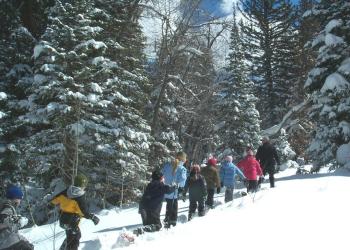 Kids in the Snowy Woods