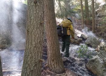 Photo of Escaped campfire American Fork Canyon August 16 - 2016