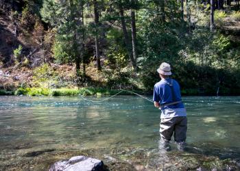 A person casts a fly-fishing line into a river.