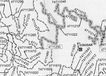 A zoomed in square of an Umpqua National Forest map that shows the individual names of all the National Forest Roads.