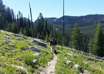 Crawfish Lake Trail Hiker