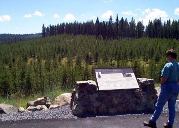 Forest Practices Interpretive Site