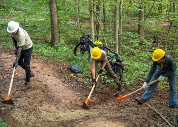 Volunteers Working on the Baileys