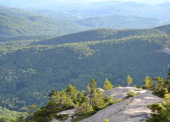 Welch-Dickey - Featured Image