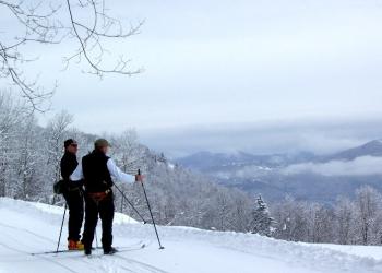 cross-country skiers overlooking the snow-covered forest