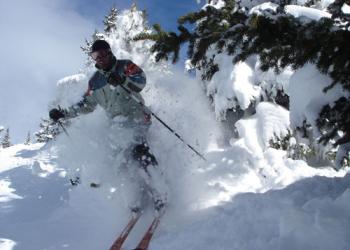 A skier in trees and powder 