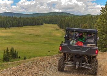 OHV travels on a forest road