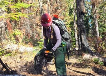 An individual cutting a tree log on the ground using a chainsaw. 