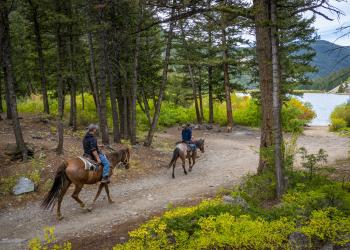 Two people riding horses along a road by a lake.