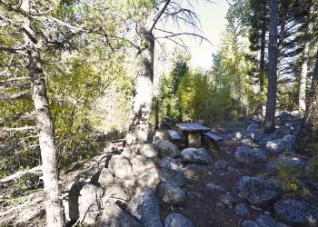 Aspen Picnic Area, Dillon Ranger District