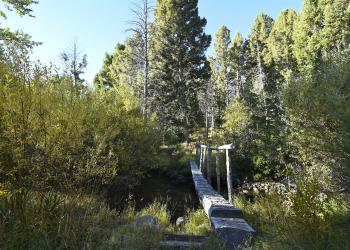 Aspen Picnic Area, Dillon Ranger District