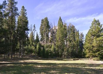 Beaverhead Campground, Butte Ranger District 